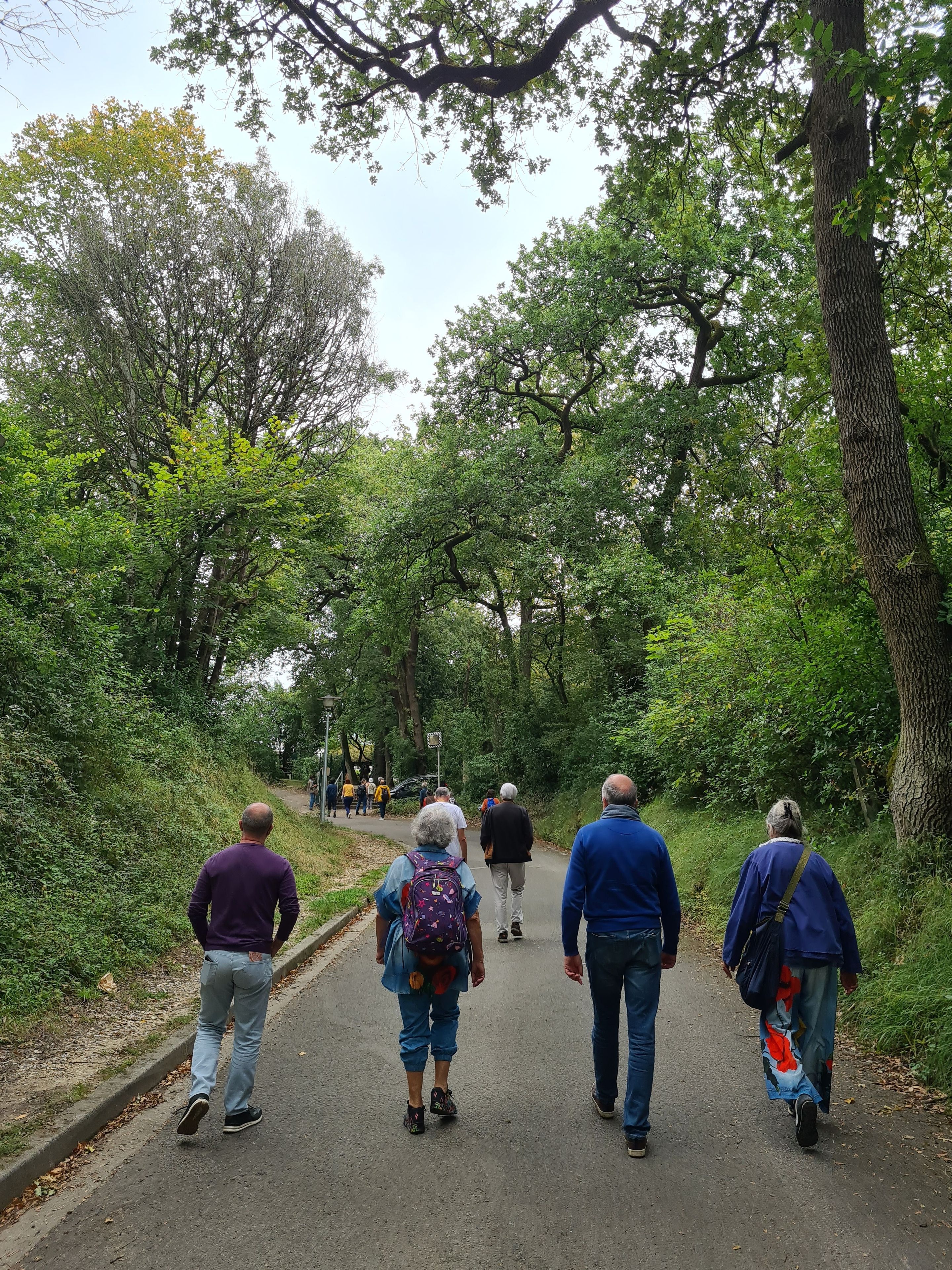 Urban Walk