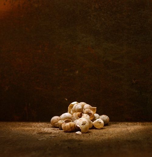 Des saisons, une exposition de Julien Coquentin