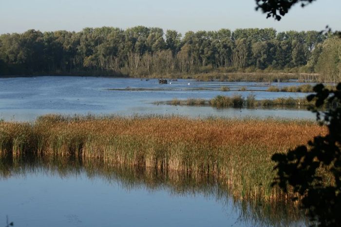 50 ans de la RNOP