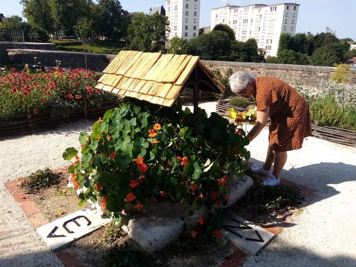 Visite découverte d'un jardin d'inspiration médiévale