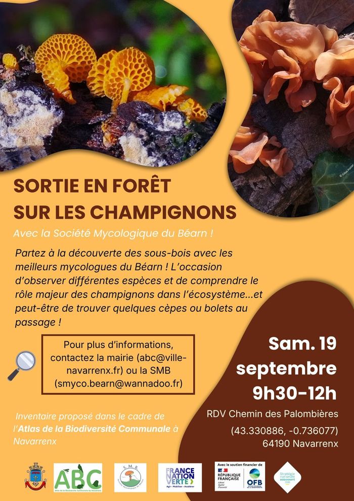 Sortie champignons