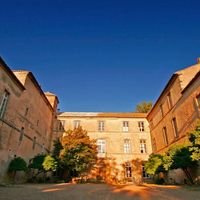 Atelier vendanges covigneron