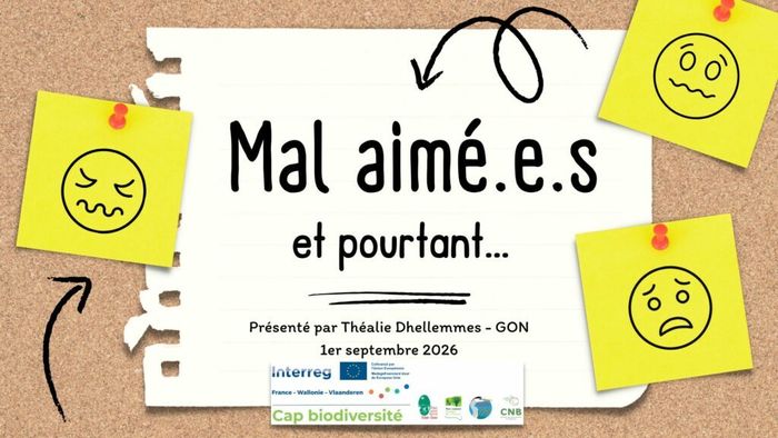 Ces espèces mal aimées qui méritent enfin notre regard