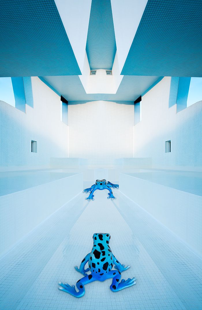 Éric Peltier - Fear of a blue planet