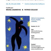 "Se Mouvoir depuis le Centre" Feldenkrais & Danse Contact Improvisation