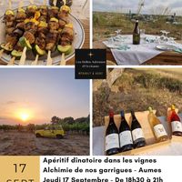 Apéritif dînatoire au milieu des vignes à Aumes / Pézenas