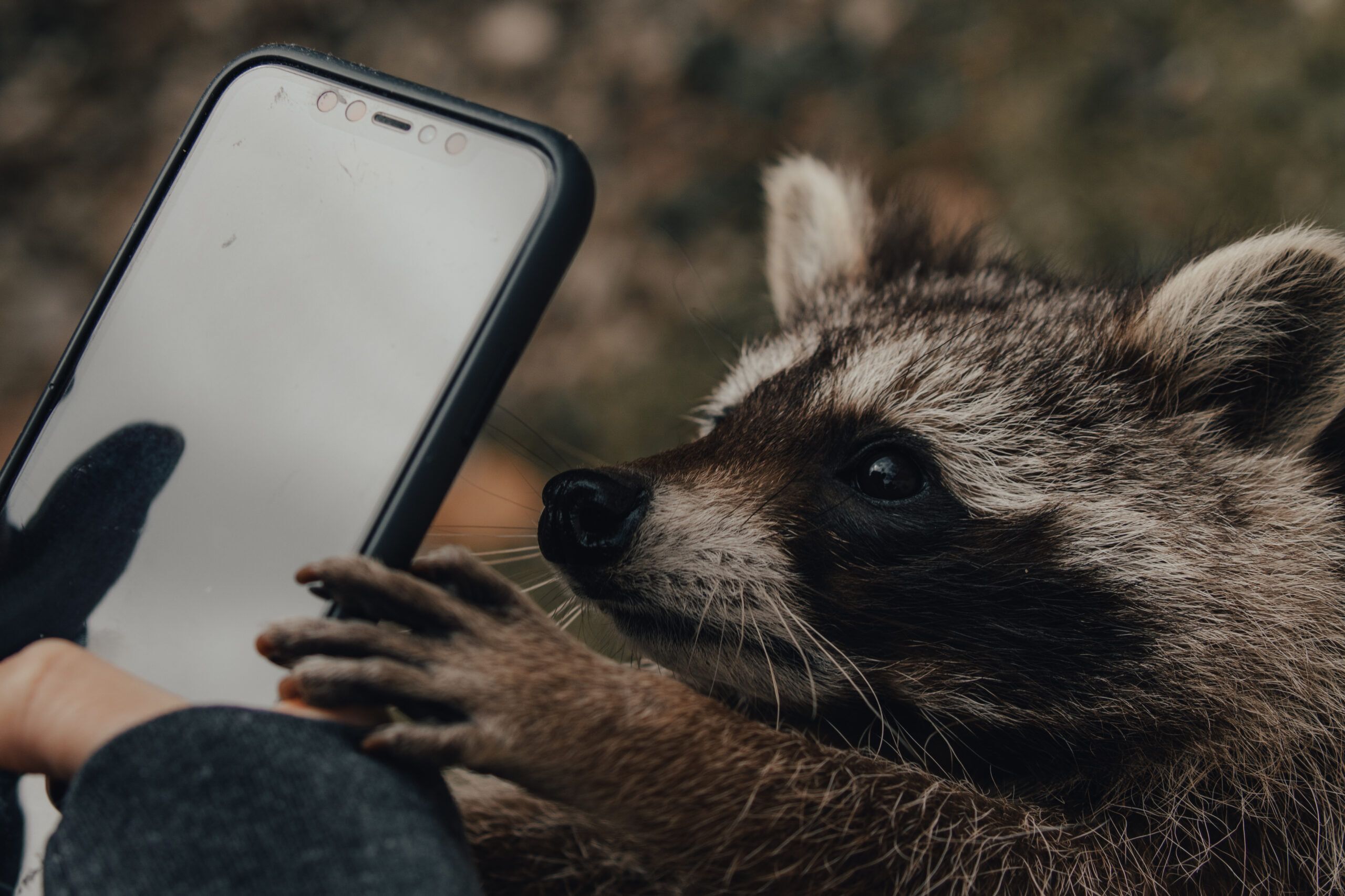 Prise en main de son smartphone (ou tablette)