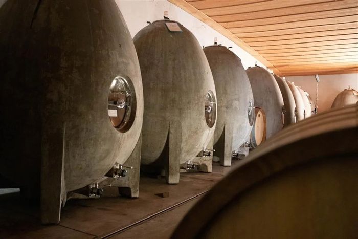 Château Maris proposent chaque vendredi matin sa Balade des Saveurs