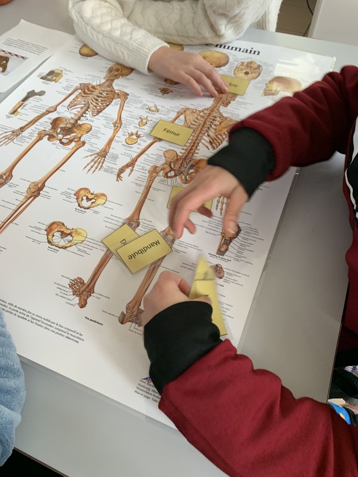 Atelier archéo-anthropologie