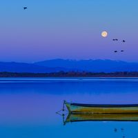 Visite insolite : lever de soleil & coucher de lune sur l'étang