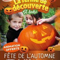 Fête de l'automne - Atelier "Décore ta citrouille"