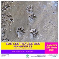 Traces et empreintes