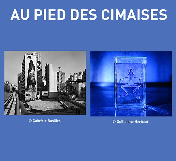 Au pied des cimaises