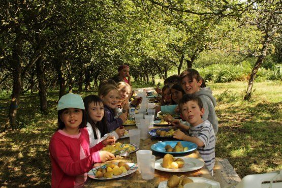 Des poneys sous les pommiers (Camp d'été en breton, 6-12 ans)
