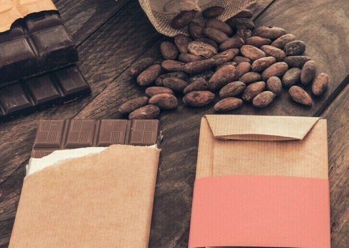 Exposition sur le chocolat