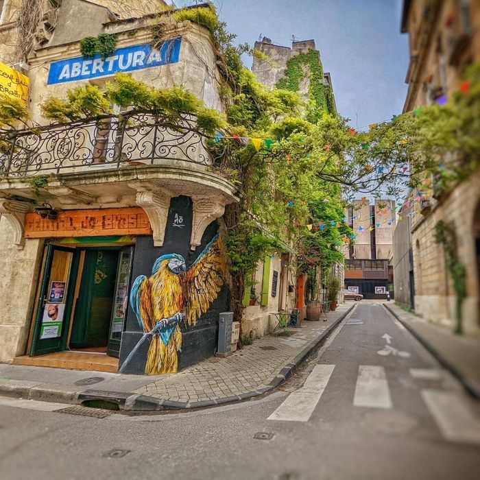Du rempart oublié au “ventre” de Bordeaux, un voyage  multiculturel avec Alternatives Urbaines