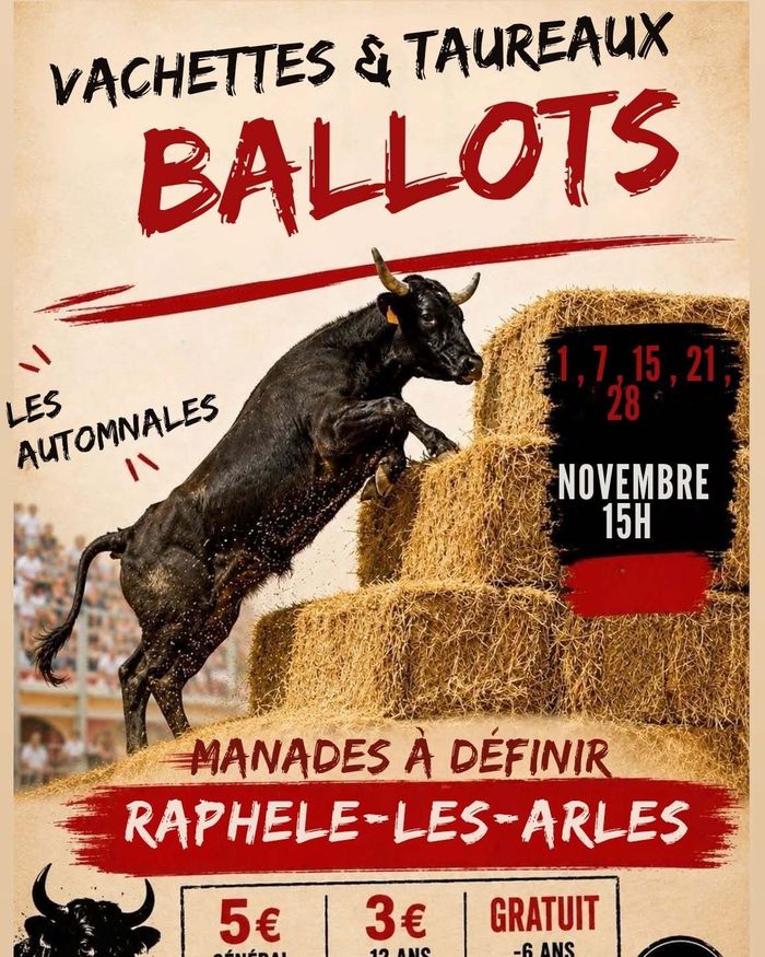 Visuel évènement