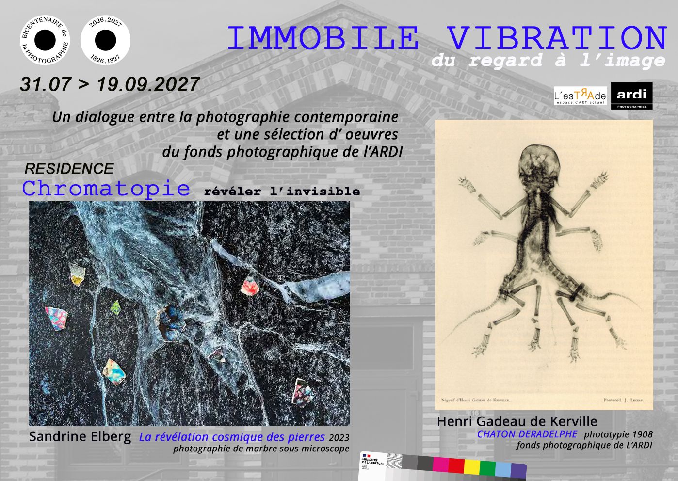 IMMOBILE VIBRATION 
           « Du Regard à l’Image »
Fin de RESIDENCE Sandrine Elberg et L'ARDI