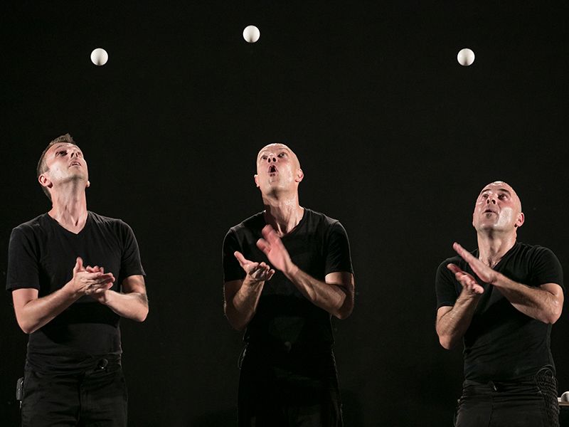 BPM – Compagnie POC