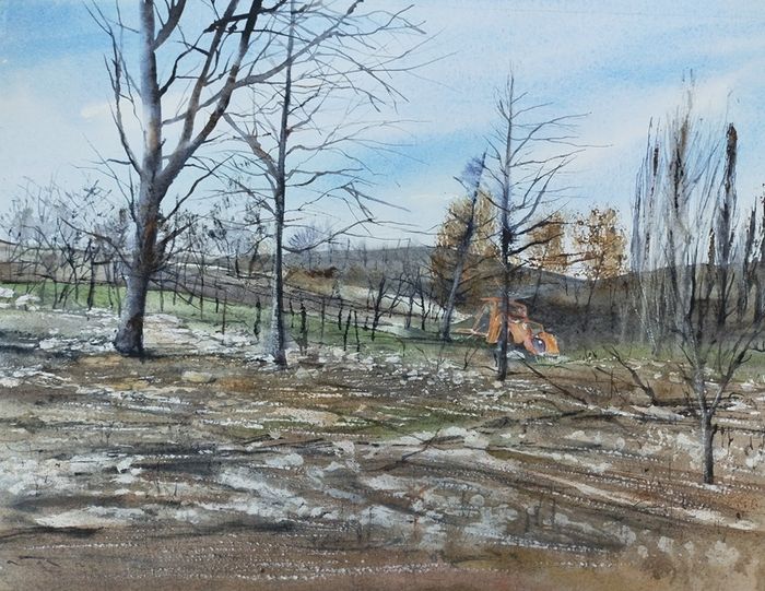 Expo "Après les incendies'' de Marie Claude Canet