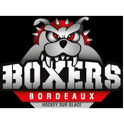 Sortie ados pour assister à un match de hockey