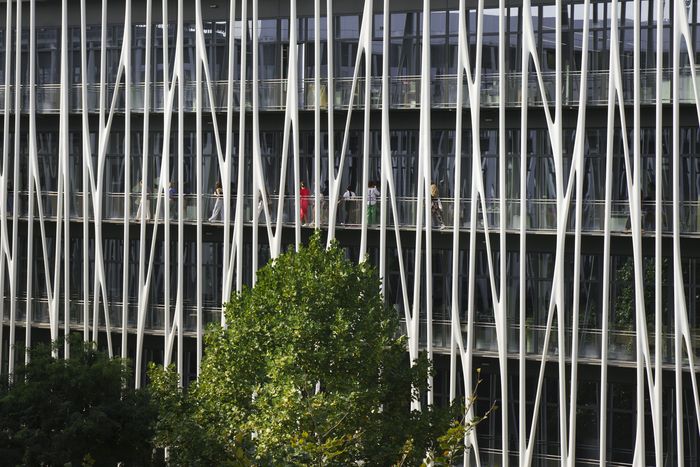 Les Journées européennes du patrimoine au 19M