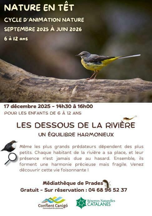 Nature en Têt - Les dessous de la rivière