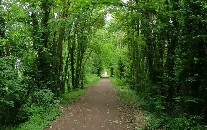 Balade à vélo de Caen à Verson