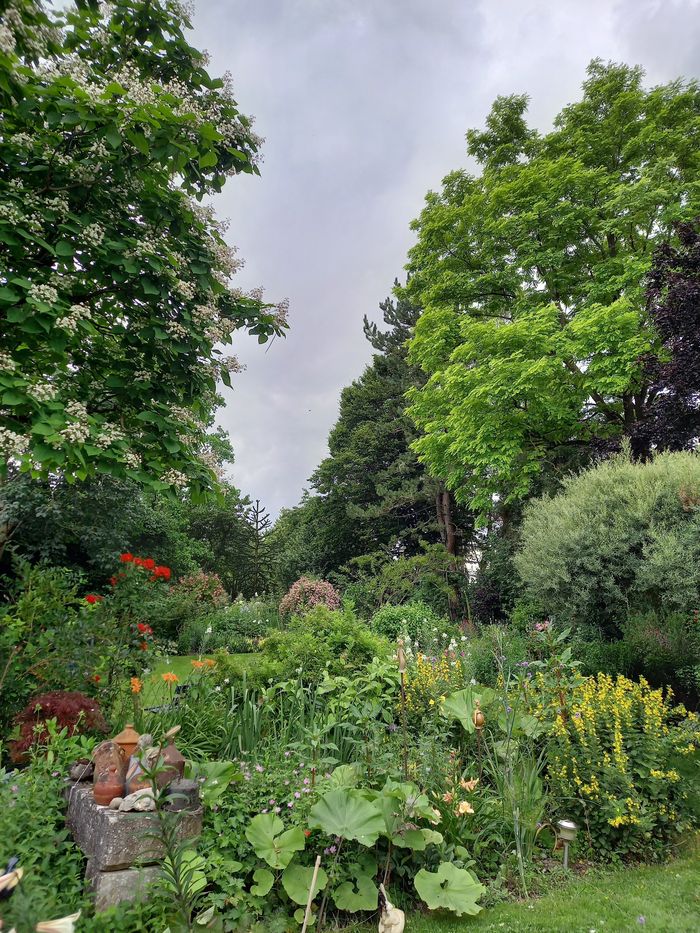Un Jardin Pour Tous Les Sens