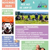Week-end spécial chien sourd