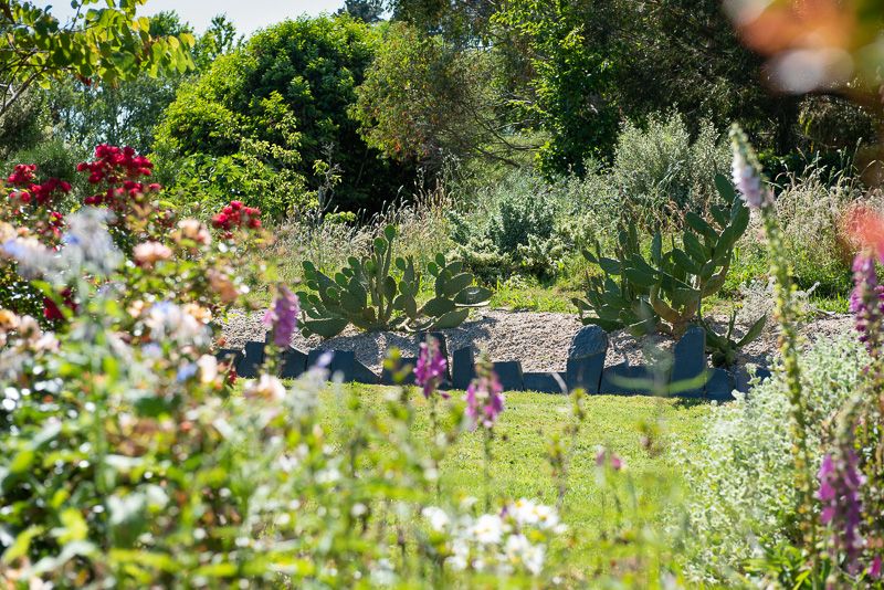 Visite du Jardin