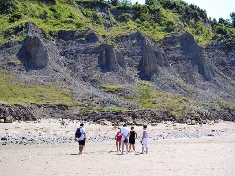 Visite guidée des falaises des Vaches noires