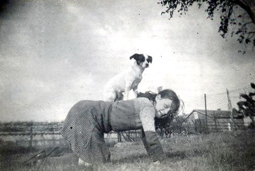 Exposition canine