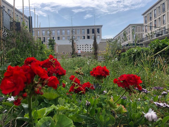 Visite libre : Genius, le jardin à étages