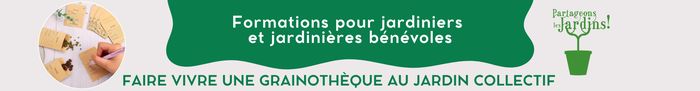 Créer et faire vivre une grainothèque au jardin