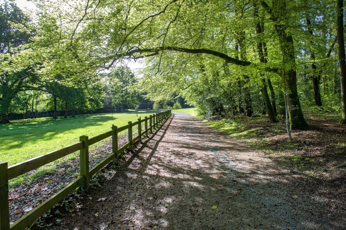 Découverte du Parc de la Chantrerie