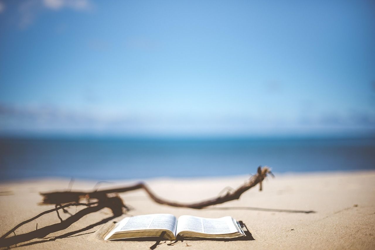 Lectures à la plage de la Source