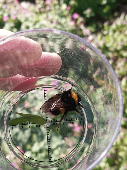 Ralentir : explorer l’invisible sous nos pieds