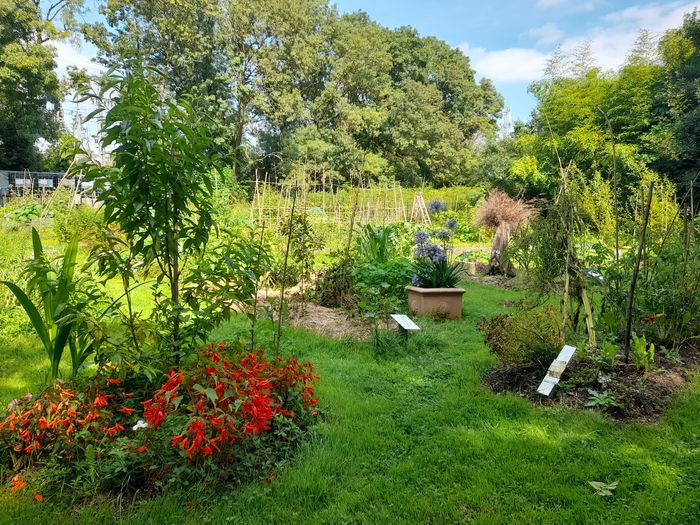 Discover the little animals of the garden