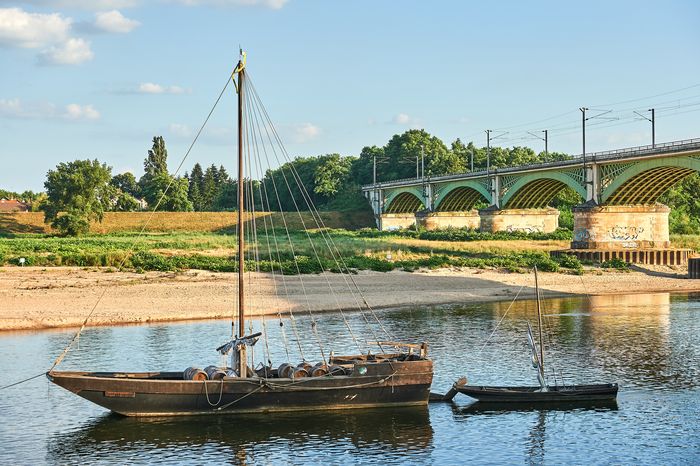 Découvrir et redécouvrir les oiseaux des bords de Loire