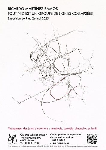 Exposition – Tout nid est un groupe de lignes collapsées, de Ricardo Martinez Ramos
