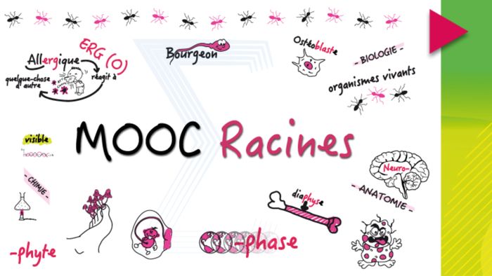 De l'atome à l'humain : à la racine des mots scientifiques