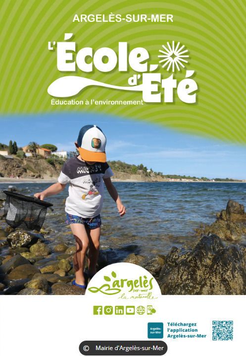 L'école d'été - Produits ménagers et cosmétiques