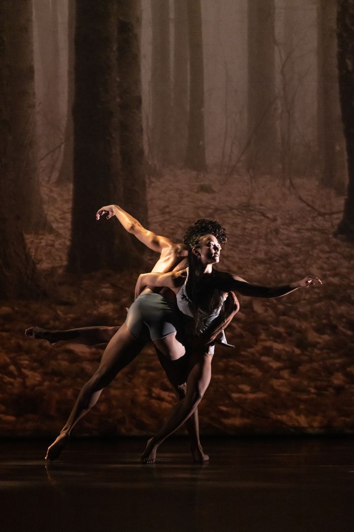Faun / Noetic