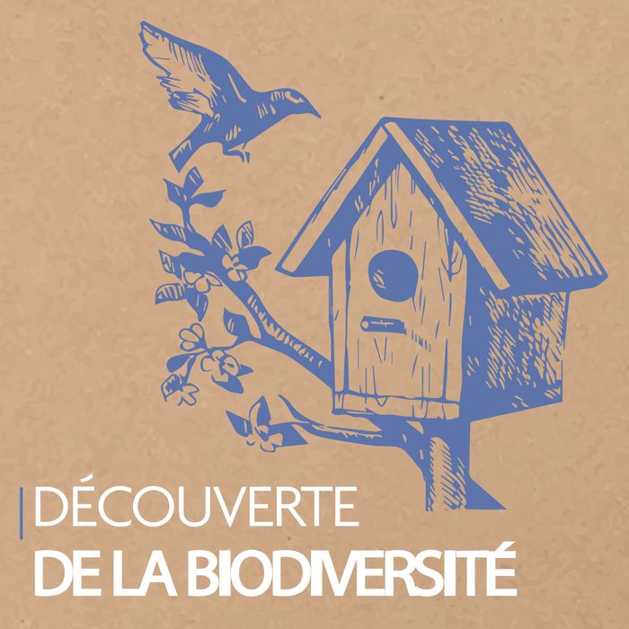 Biodiversité / Nature en ville
