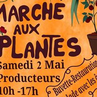 Marché aux plantes