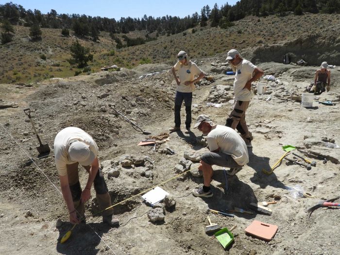 Ils sont partis à la recherche d’un dinosaure