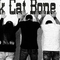 Black Cat Bone Gang - Présentation d'album