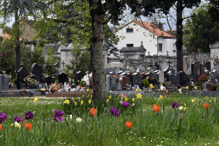 Visite commentée : La mort dans la ville