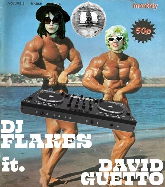 Hoods Flakes – Dj Flakes Ft David Guetto - Festival les Zaccros d'ma rue, Week-end à Nevers